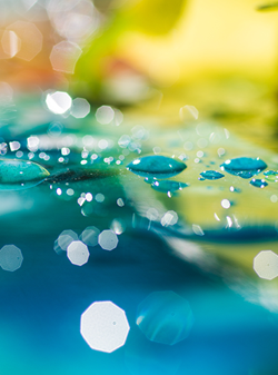 Photosensitive materials